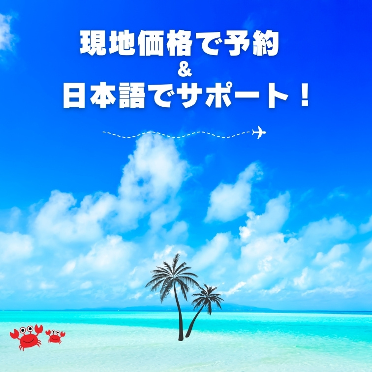 ミッキーネット公式サイト | USディズニー専門No.1 ミッキーネット公式